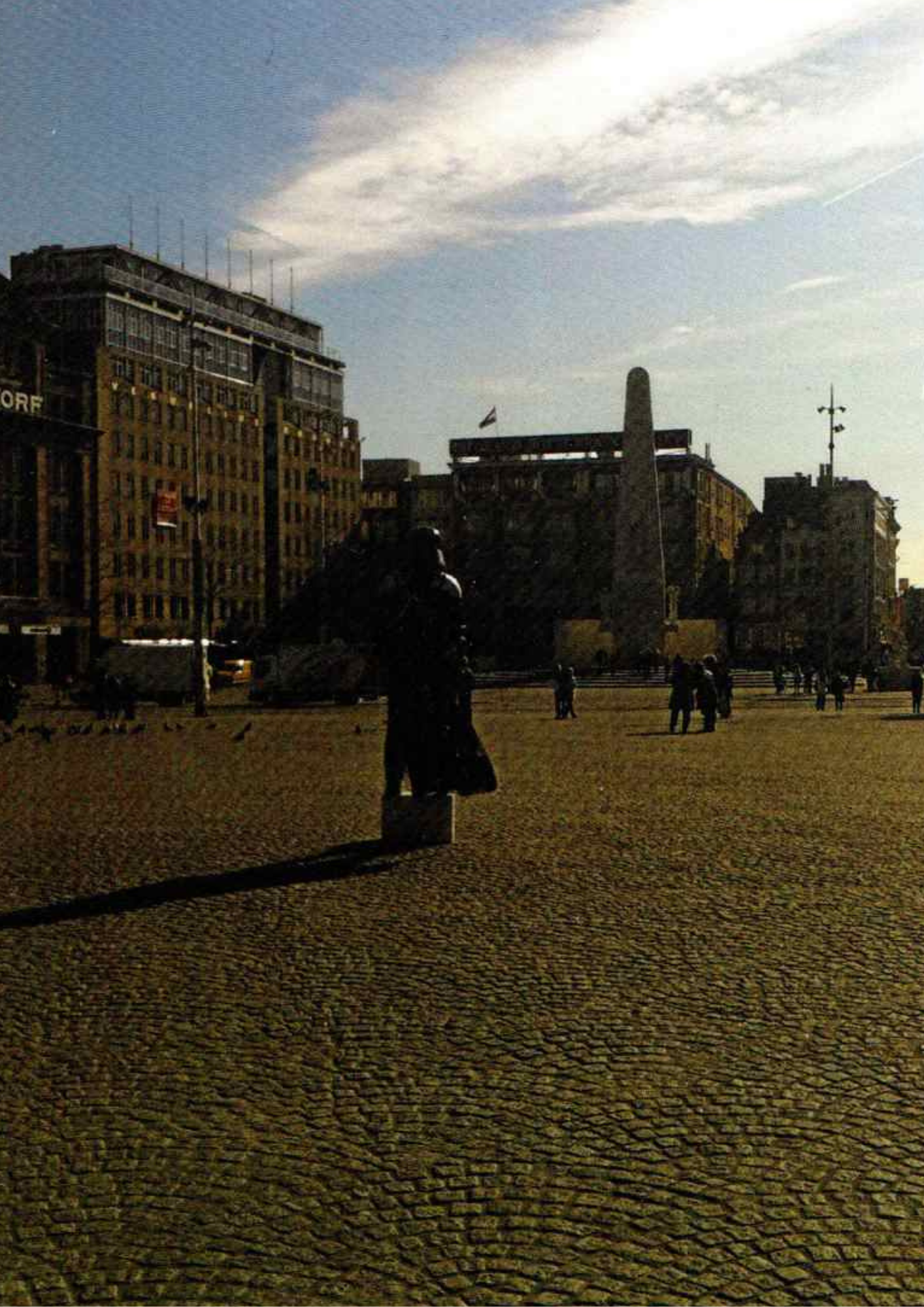 Vader At Attention - Street Photography Postcard